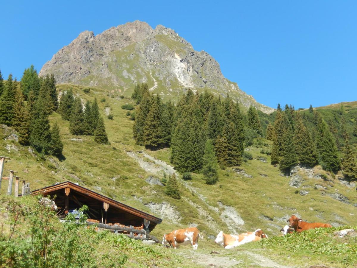 Ff Appartements Bramberg am Wildkogel Exterior foto